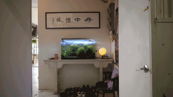 圖片6.png